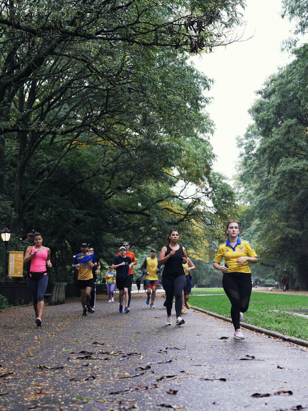 person jogging in park